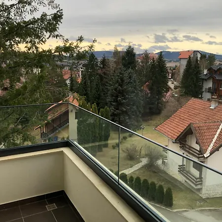 Grujic - Dunav Zlatibor