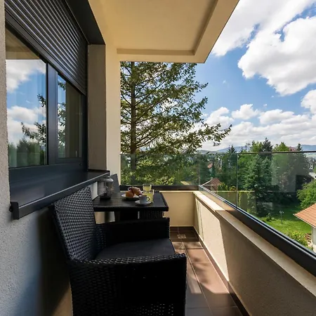 Grujic - Dunav 아파트 *